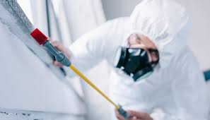 Professional Pest Control in Willard, OH